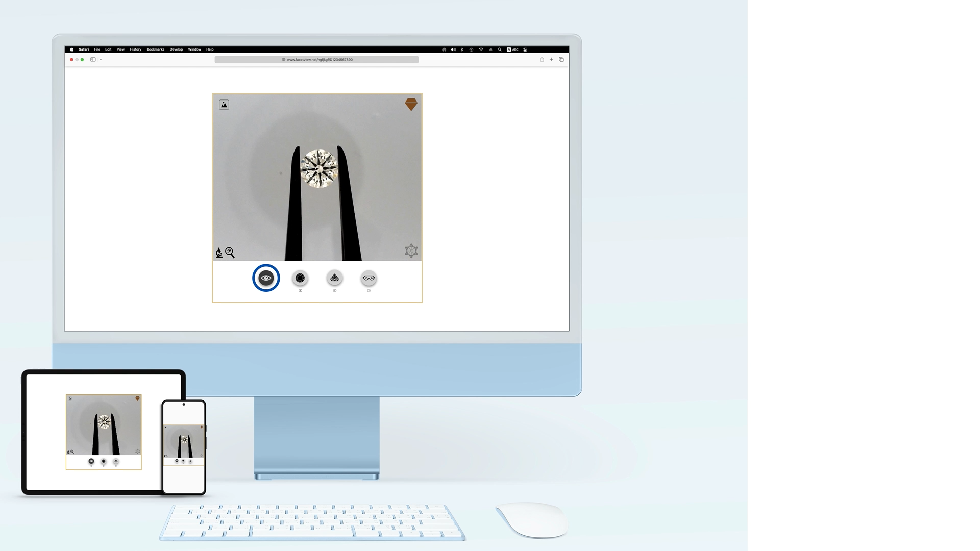 FacetView Eye-Clean view — diamond in tweezers as seen by the naked eye